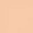 Ever Matte Compact Powder