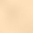 Double Wear Stay-in-Place Matte Powder Foundation SPF 10