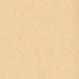Nu Bare Look Skin Tint