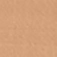 Nu Bare Look Skin Tint