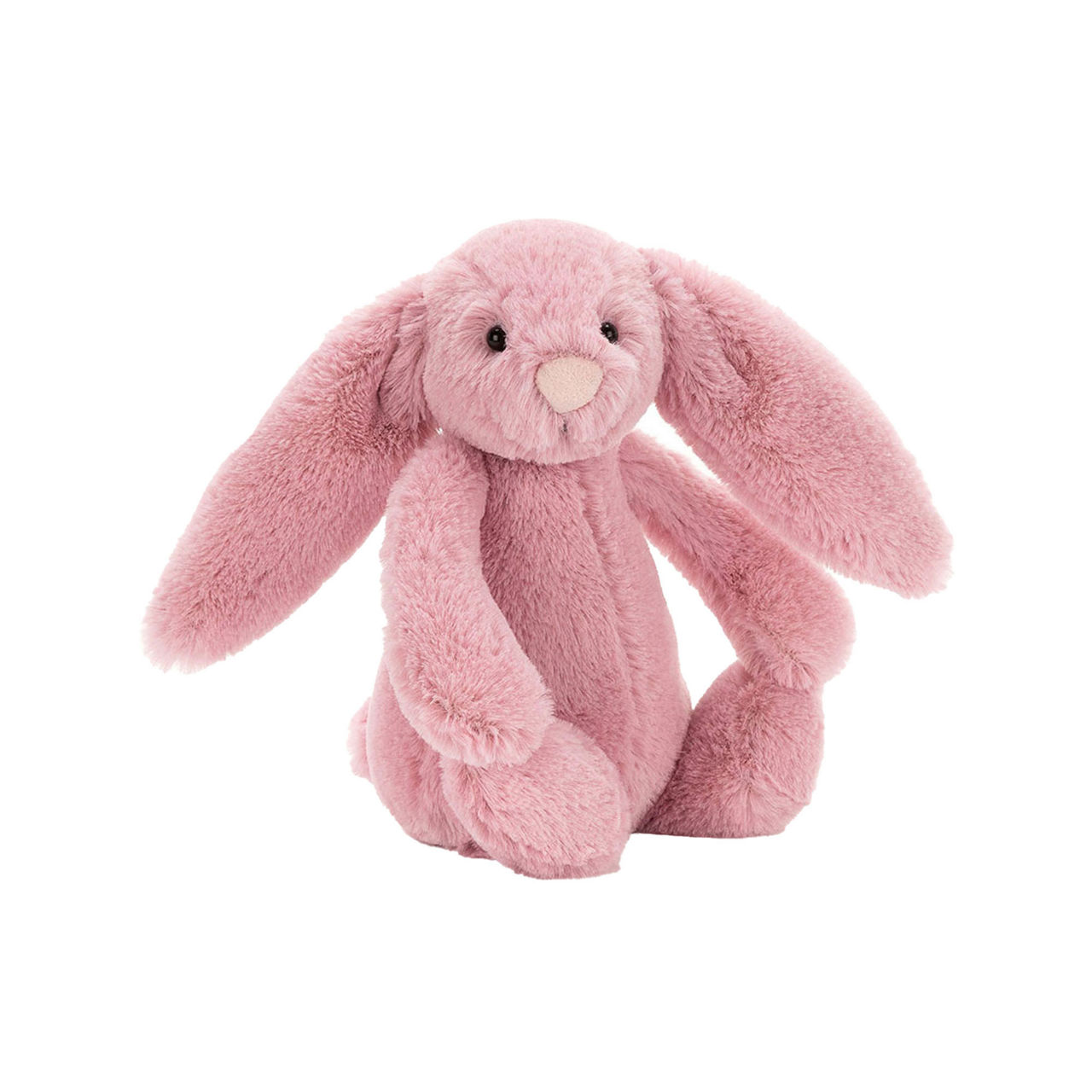 Bashful Bunny Tulip 18cm