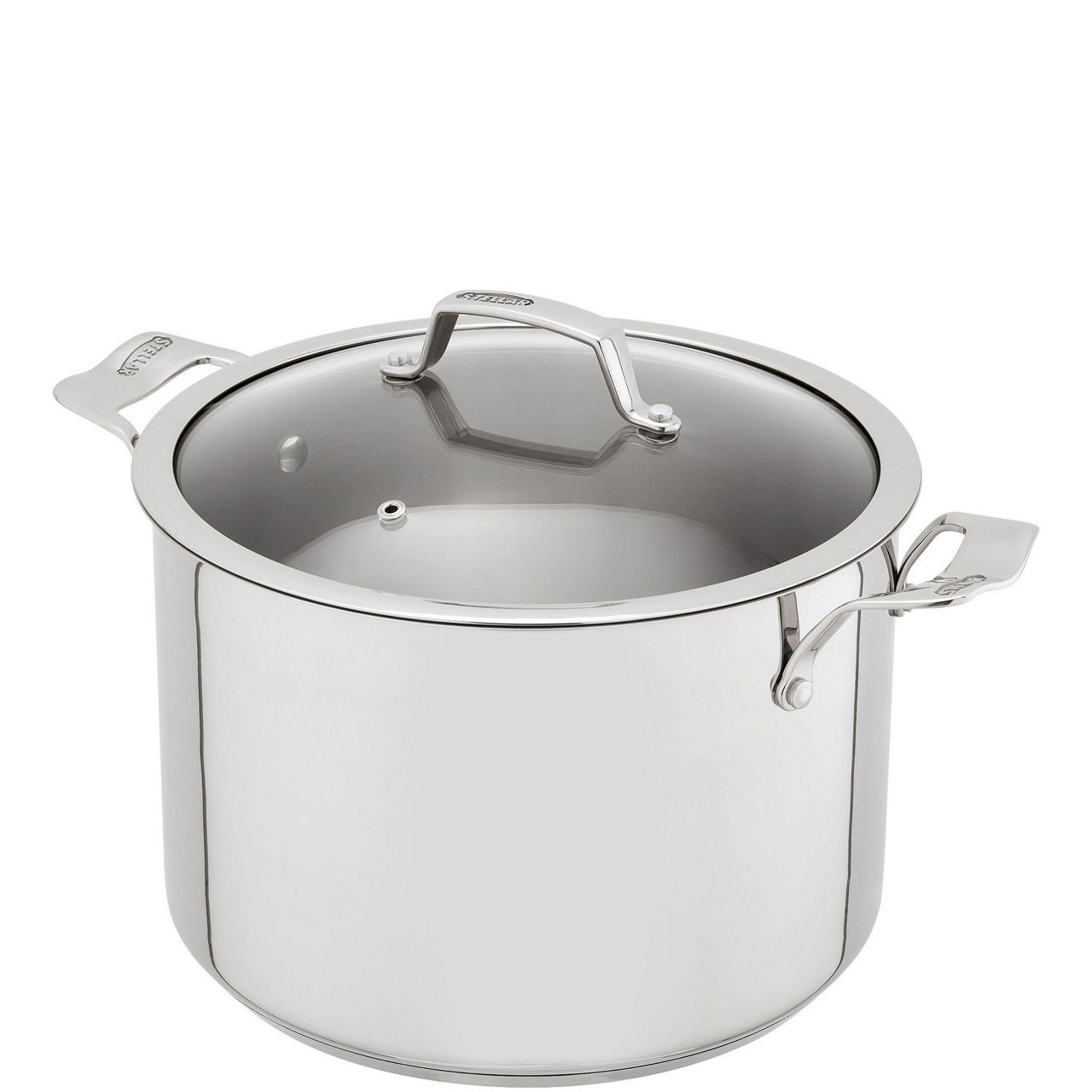 Premium Stockpot 26Cm 8L