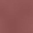 Powder Kiss Velvet Blur Slim Stick