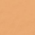 Skin Full Cover Concealer