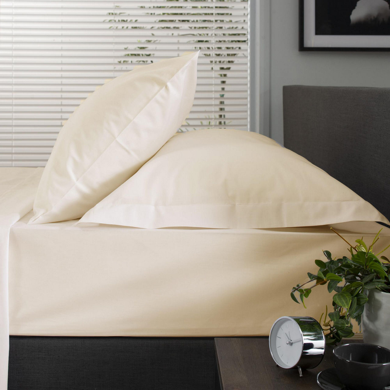 200 Thread Count Cotton Percale Fitted Sheet Ecru