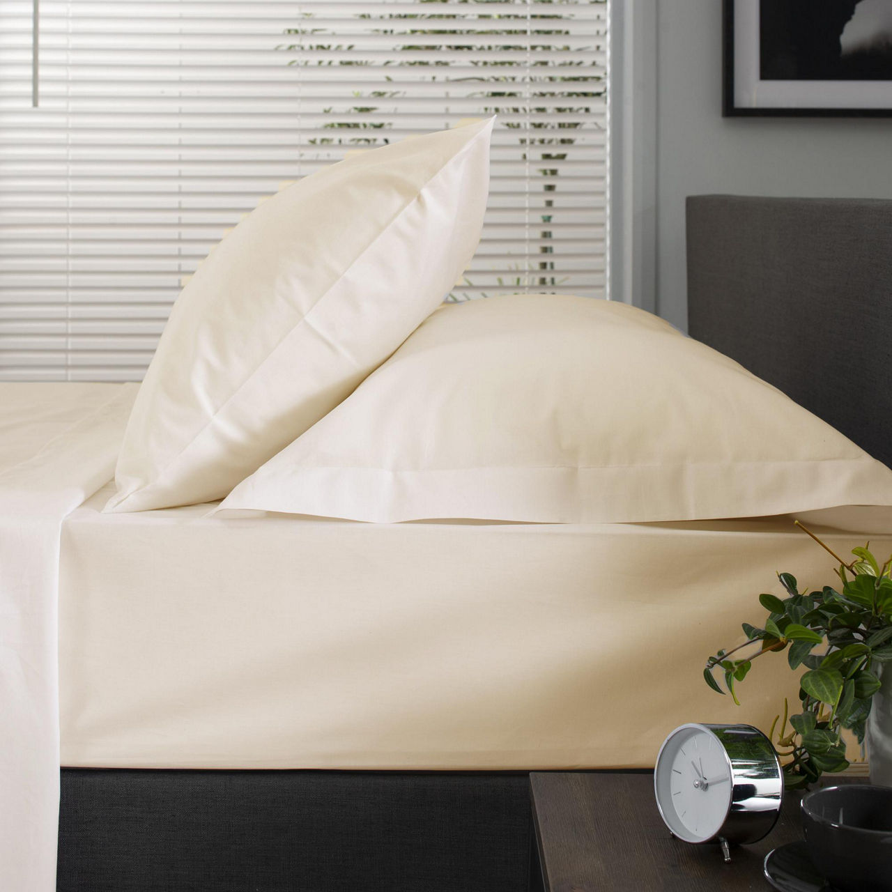 200 Thread Count Cotton Percale Oxford Pillowcase Ecru