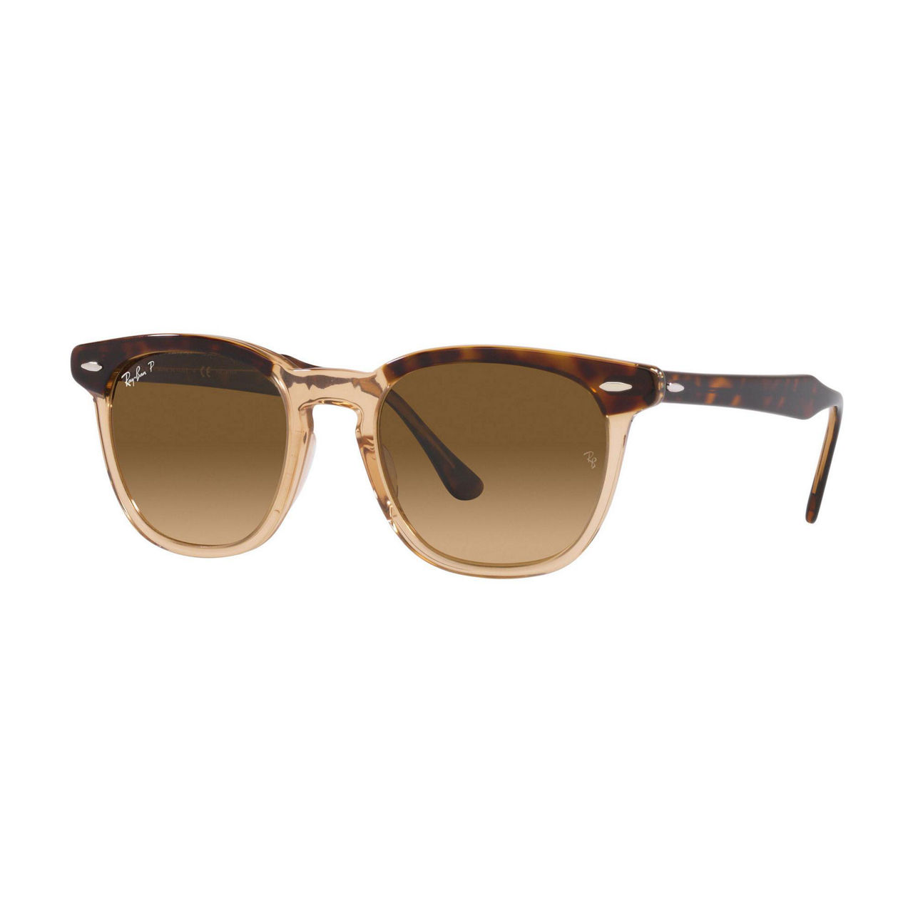 Square Sunglasses RB2298