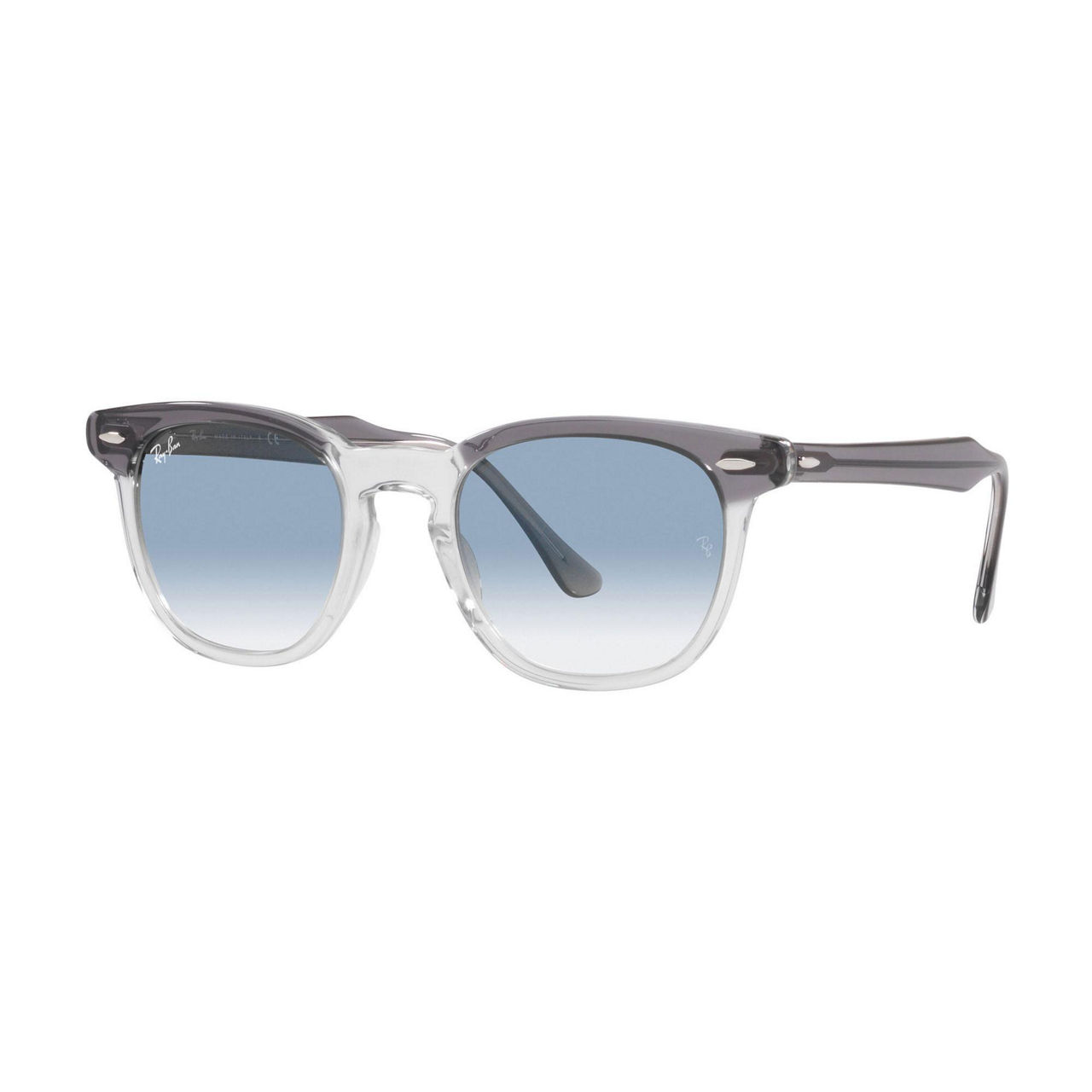 Square Sunglasses RB2298