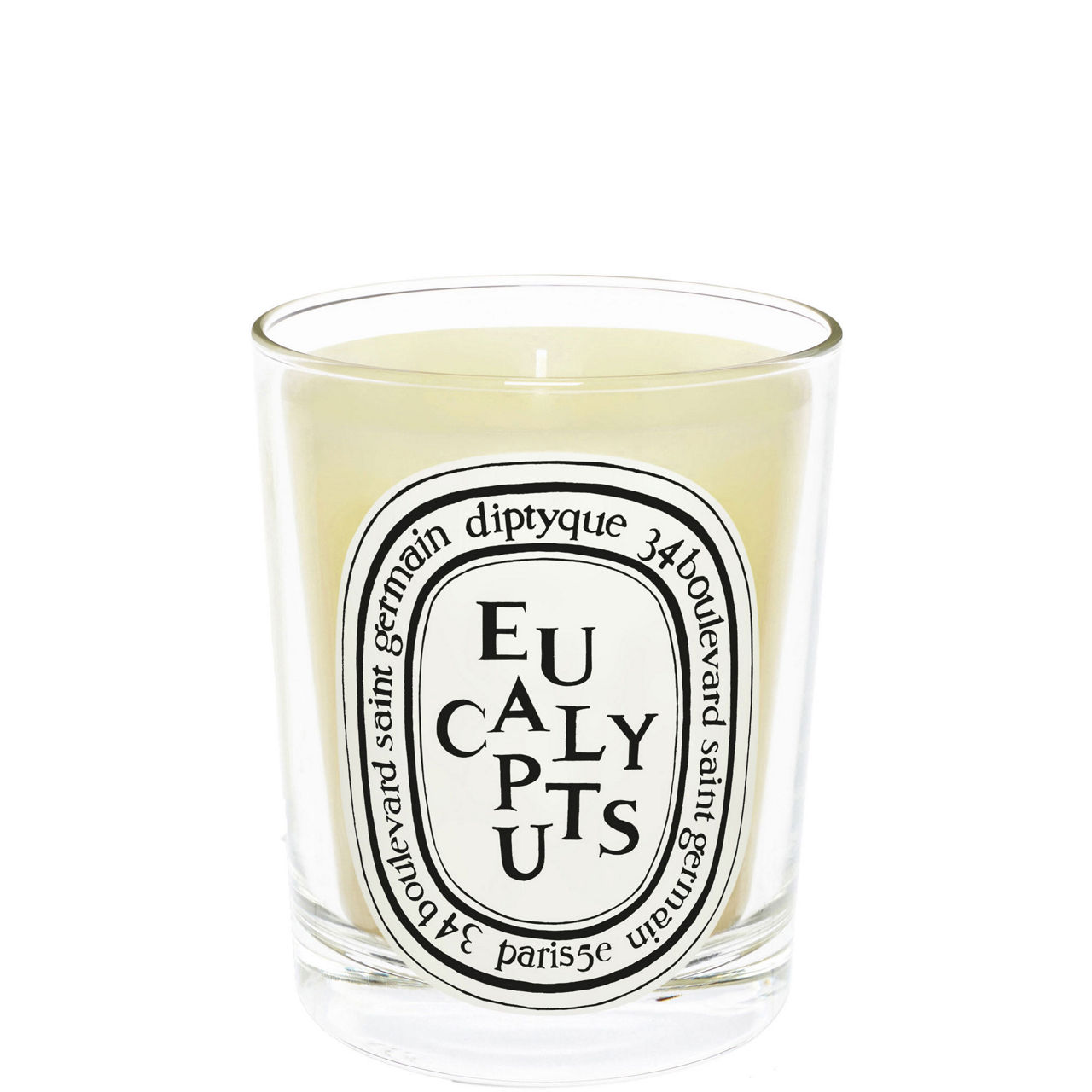 Eucalyptus Scented Classic Candle 190g