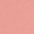 Pure Color Cr&egrave;me Lipstick