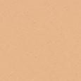 Teint Idole Ultra Wear Foundation