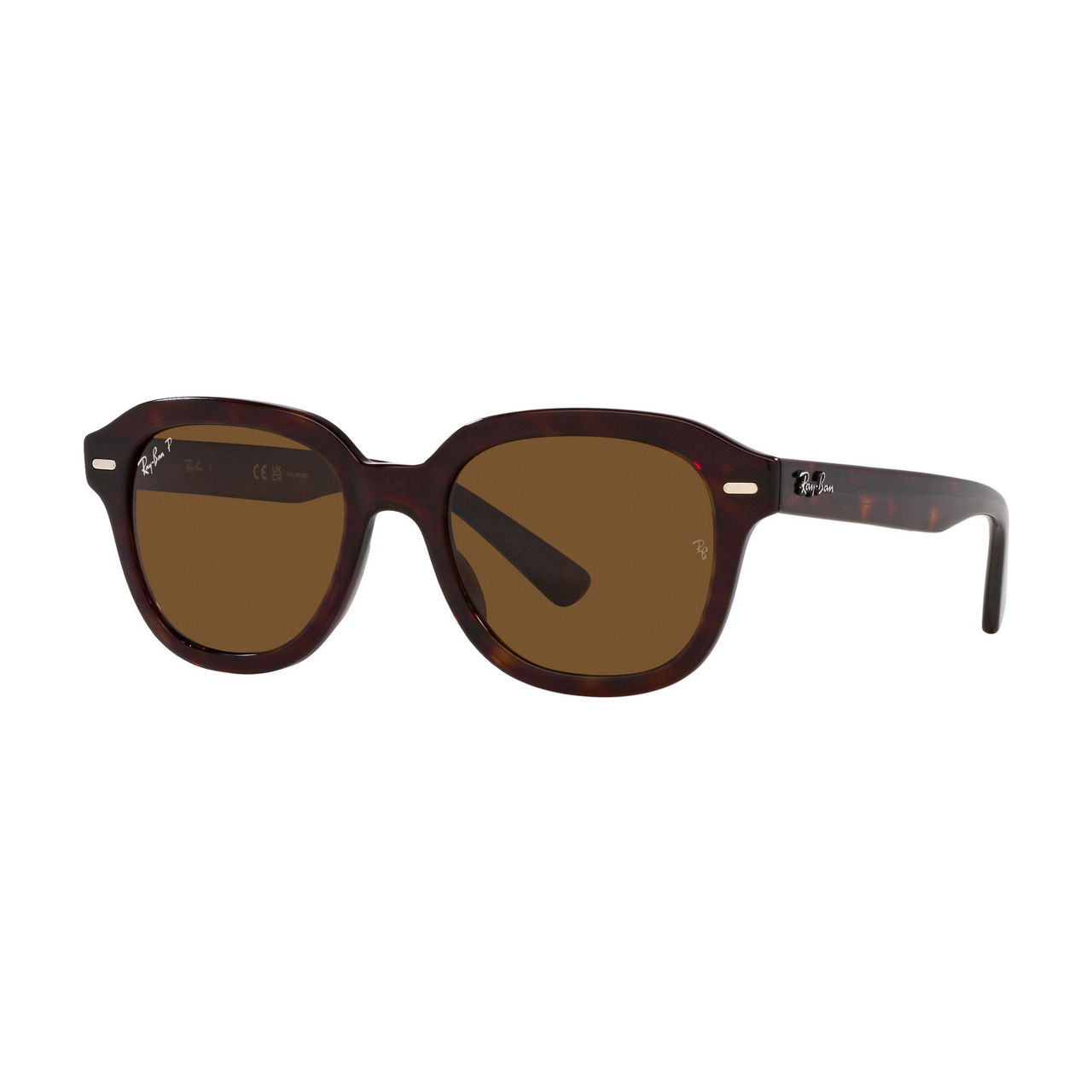 Square Sunglasses RB4398