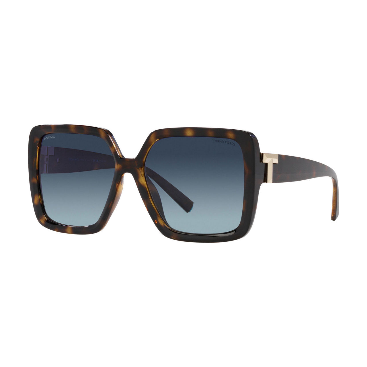 Square Sunglasses TF4206U