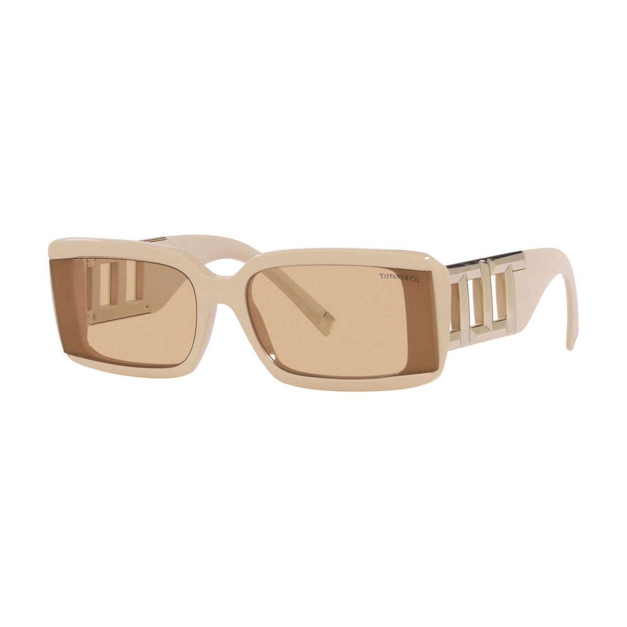 Rectangle Sunglasses TF4197