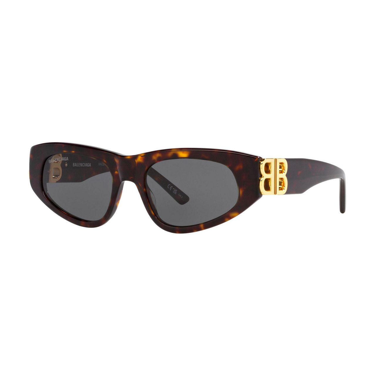 Irregular Sunglasses 6E000259