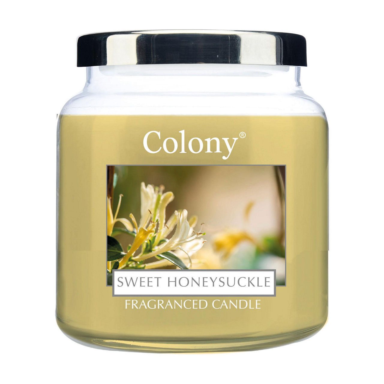 Colony Sweet Honeysuckle Medium Candle Colony Sweet Honeysuckle Medium Candle