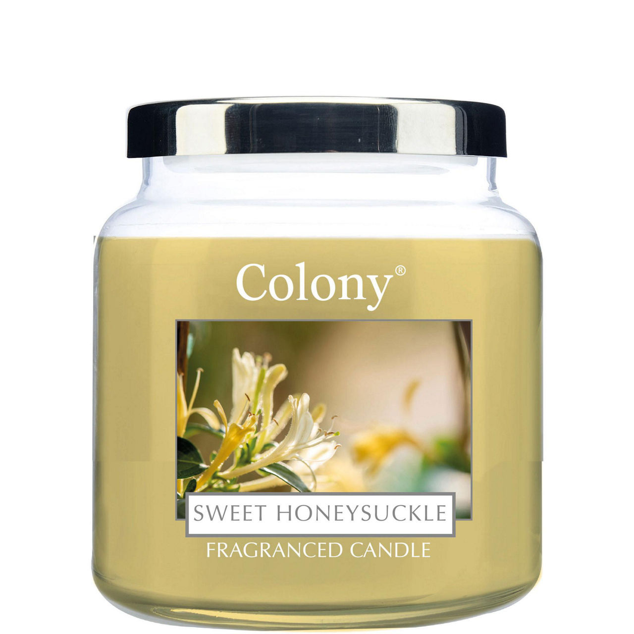 Colony Sweet Honeysuckle Medium Candle