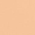 Veil Hydrating Skin Tint