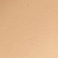 Studio Radiance Serum-Powered&trade; Foundation