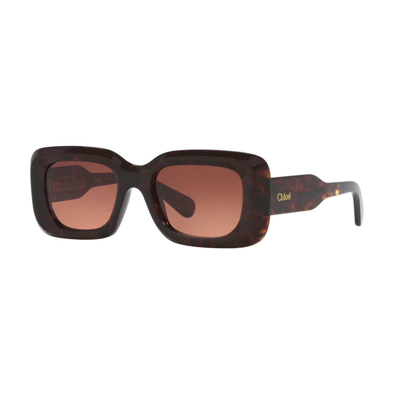 Square Sunglasses 6N000505