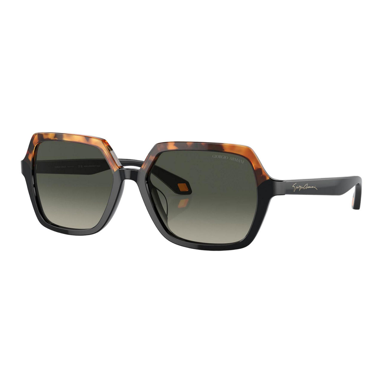 Square Sunglasses AR8193U