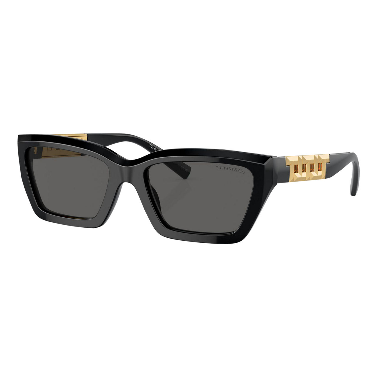 Rectangle Sunglasses TF4213