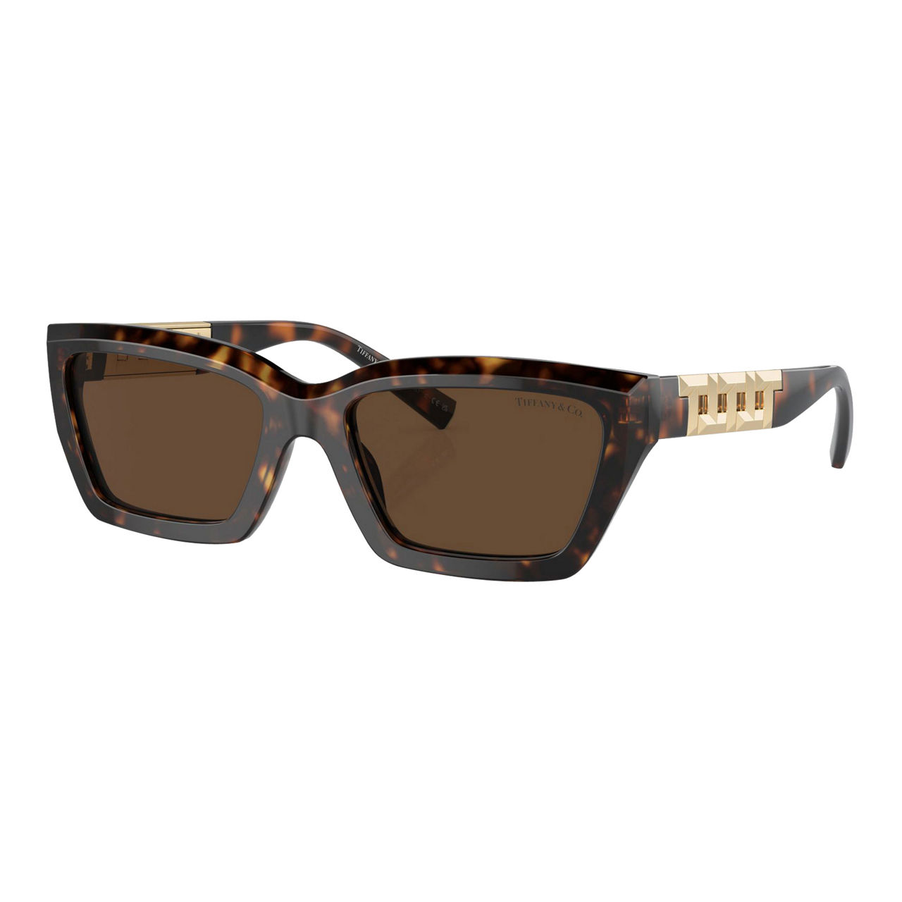 Rectangle Sunglasses TF4213