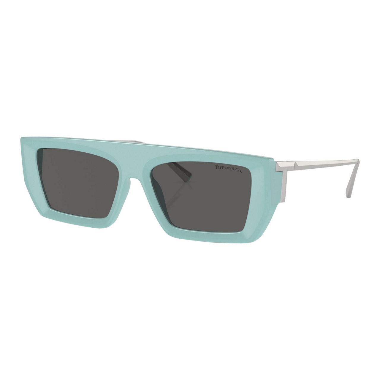 Rectangle Sunglasses TF4214U