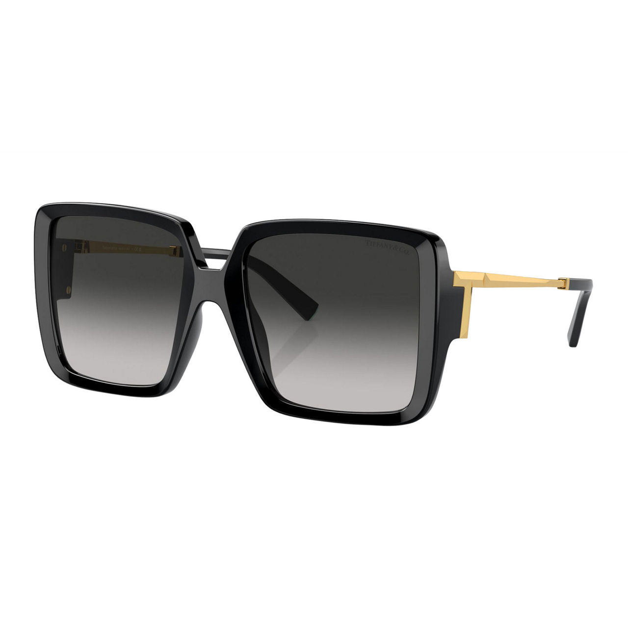 Square Sunglasses TF4212U