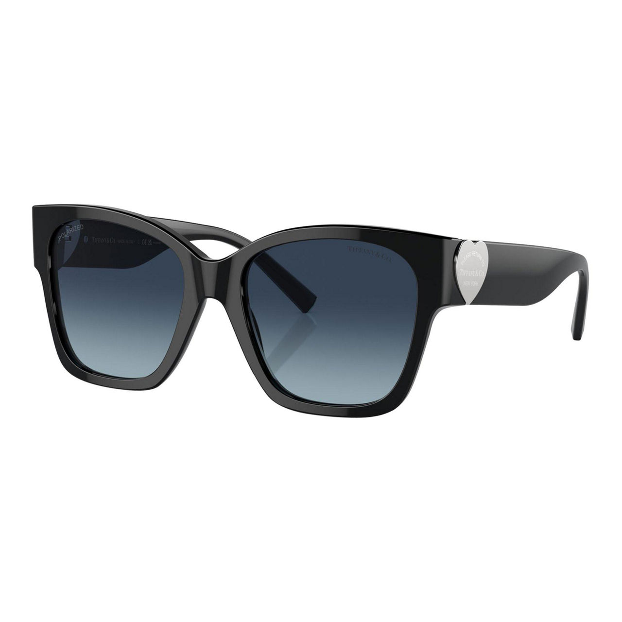 Square Sunglasses TF4216