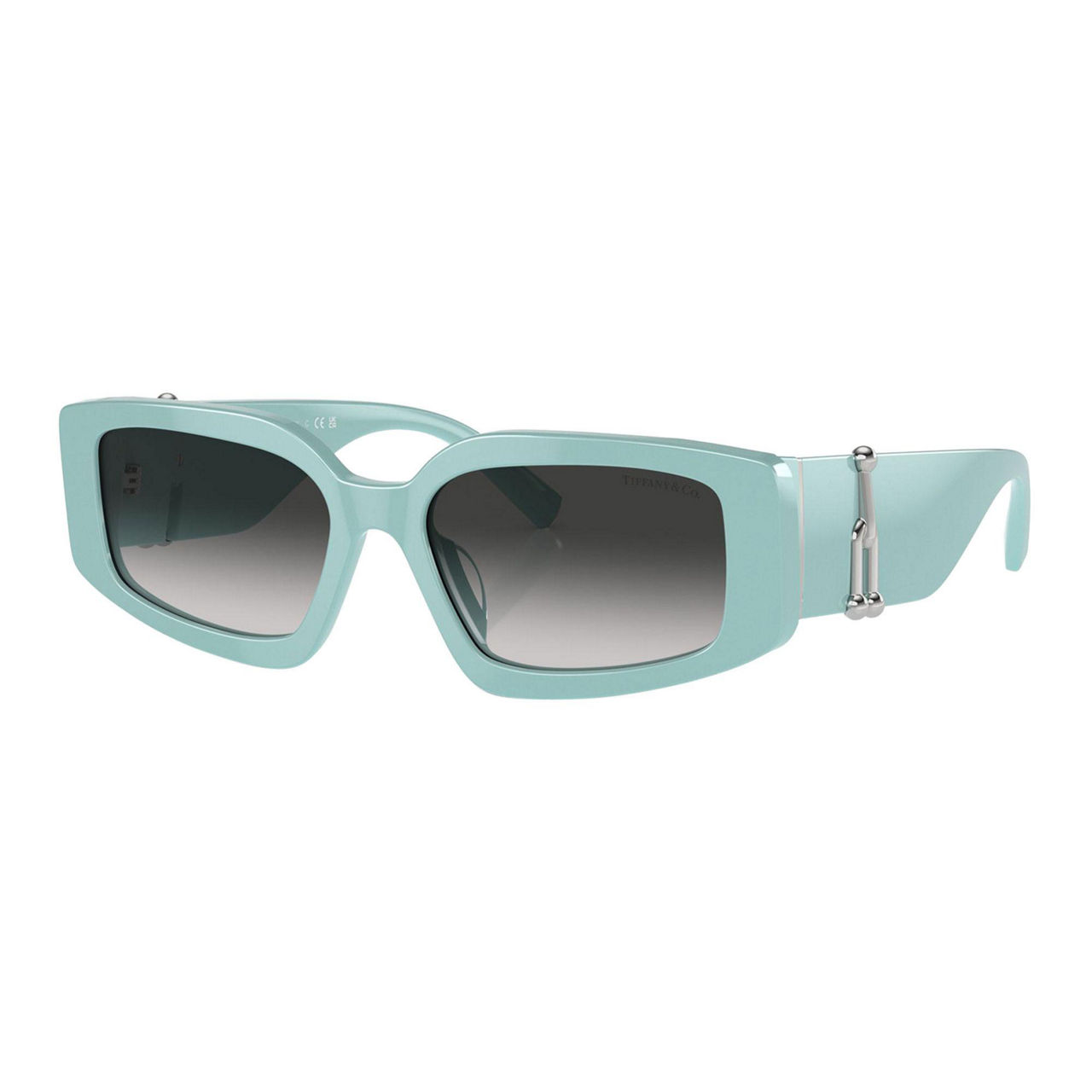 Rectangle Sunglasses TF4208U