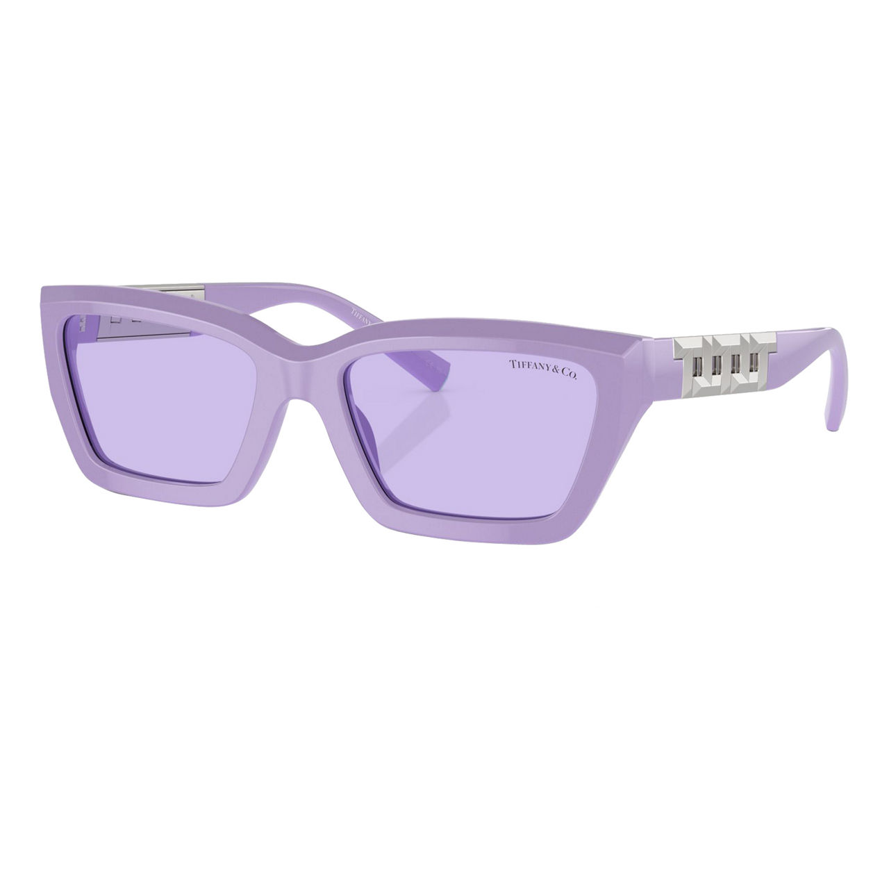Rectangle Sunglasses TF4213