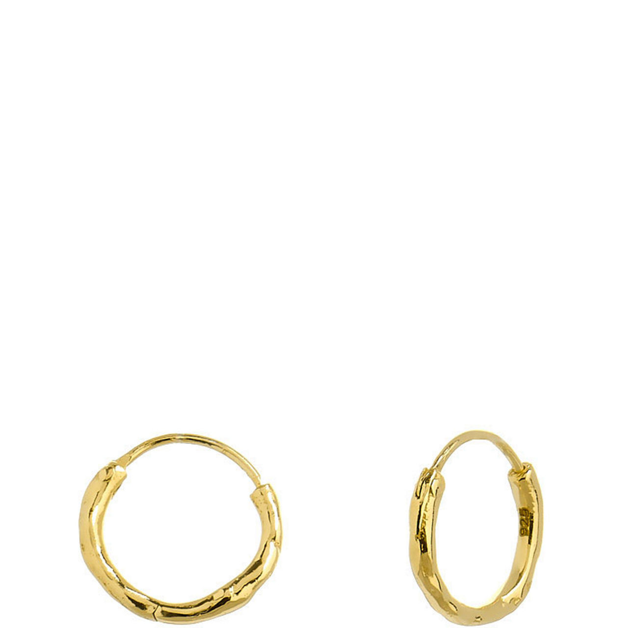 Relic Huggy Earrings