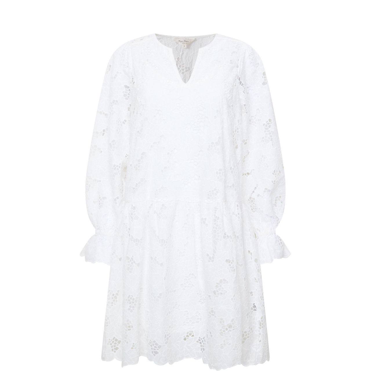 Lay Embroidered Mini Dress