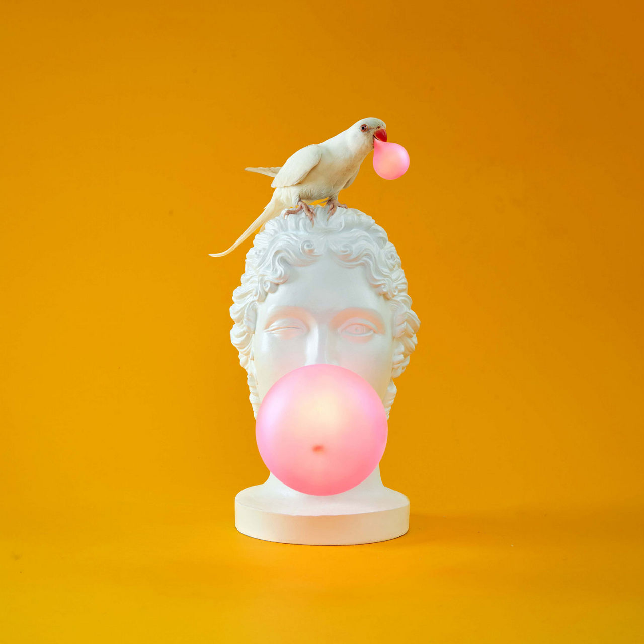 Grace Lamp
