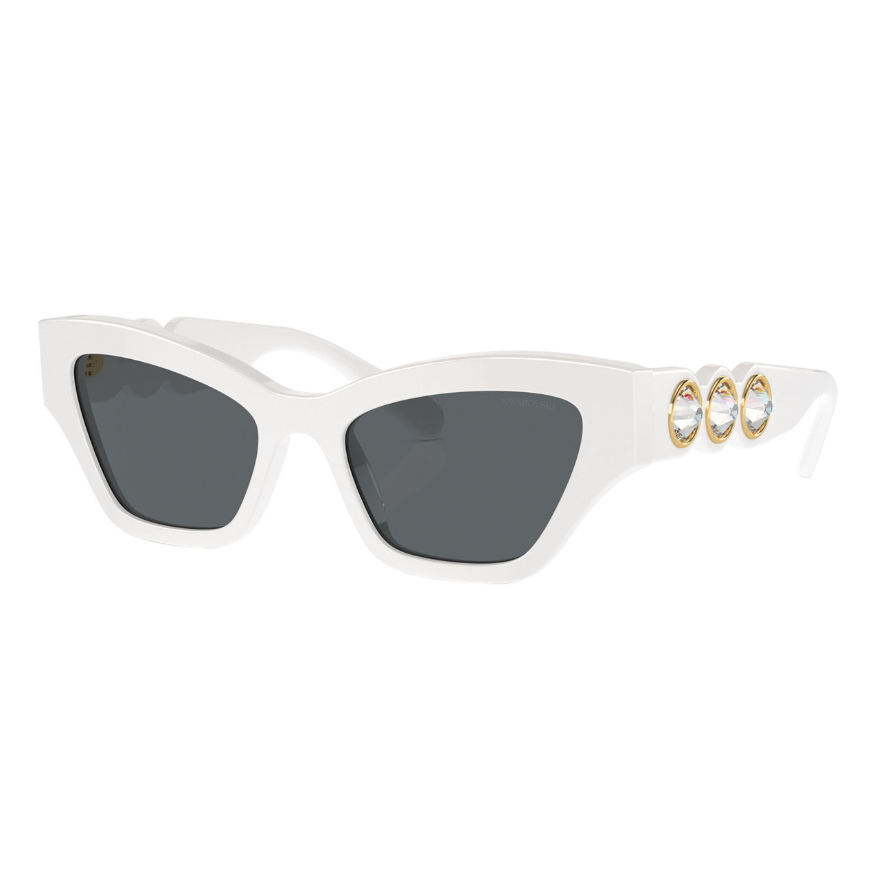 Irregular Sunglasses SK6021