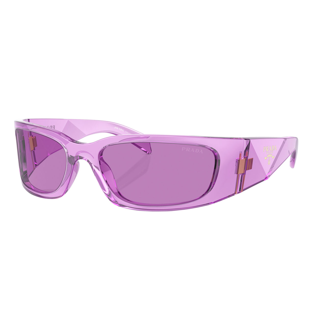 Butterfly Sunglasses PR A14S