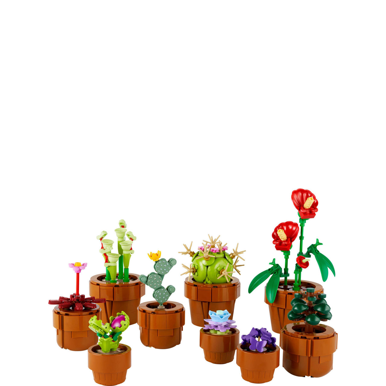 Botanical Collection Tiny Plants