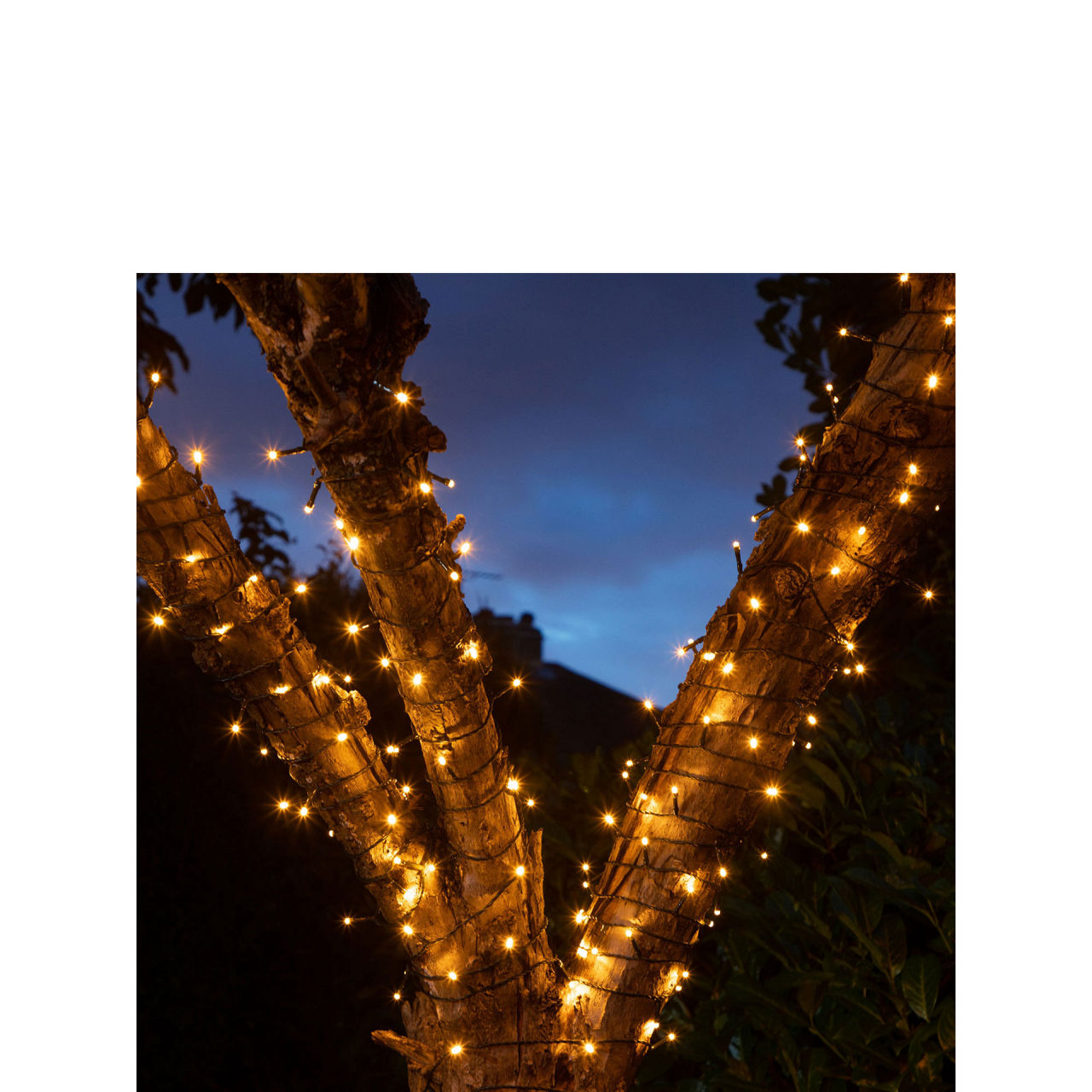 600 Warm White Multifunction String Lights