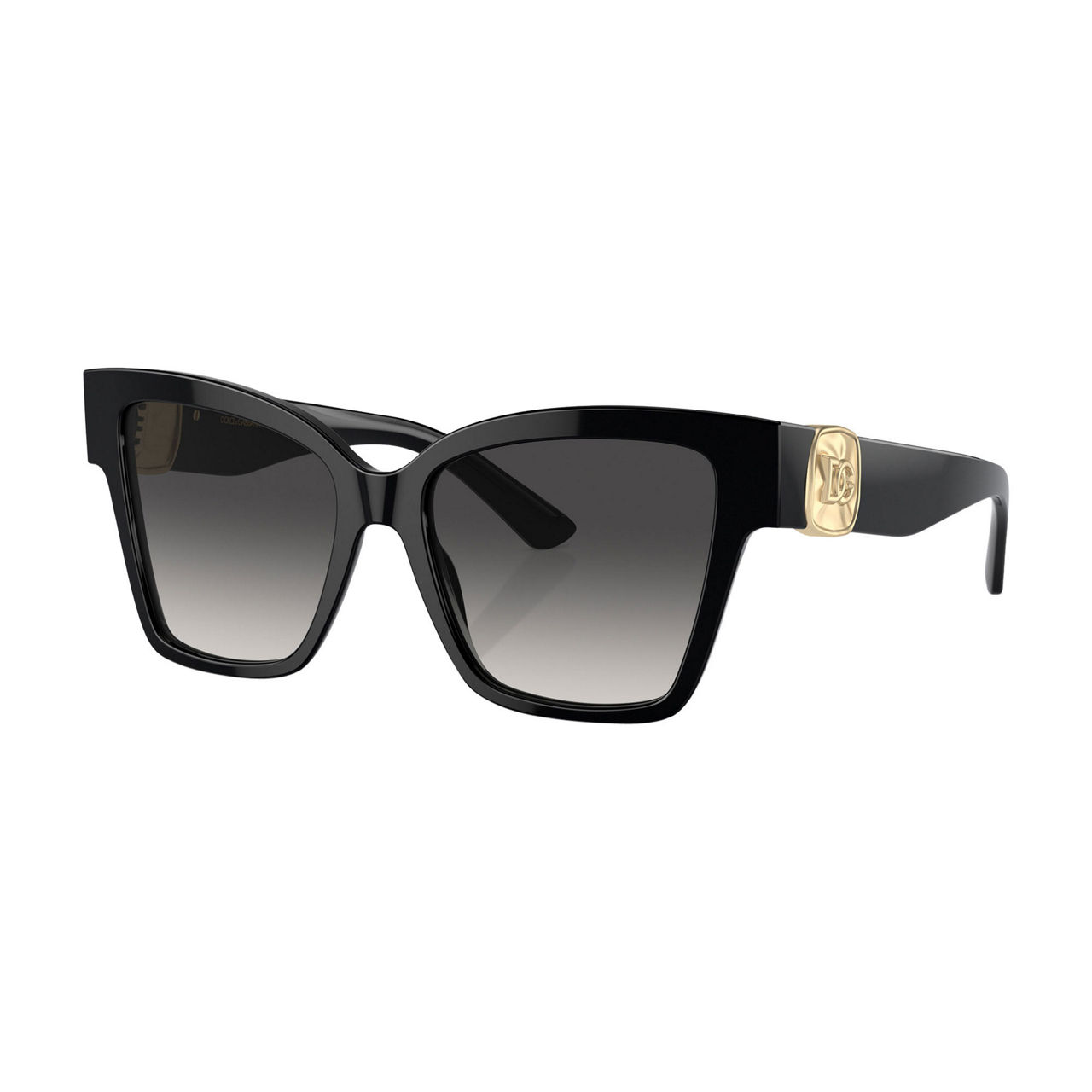 Square Sunglasses DG4470