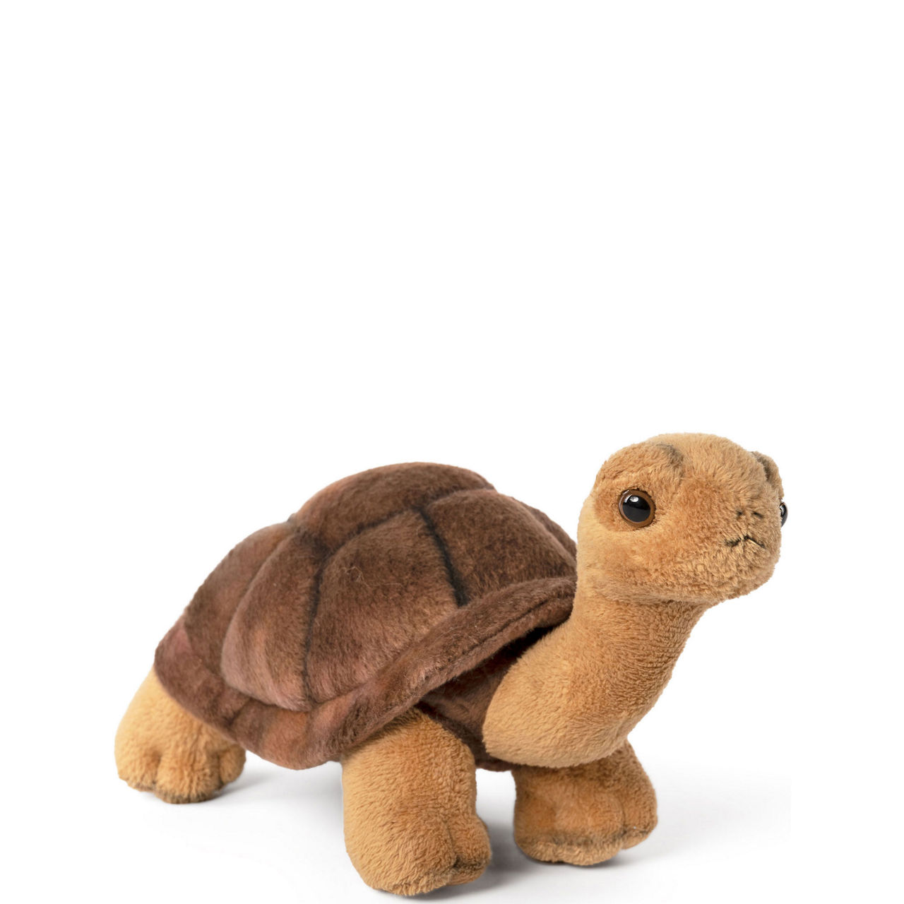 Plush Tortoise 13cm