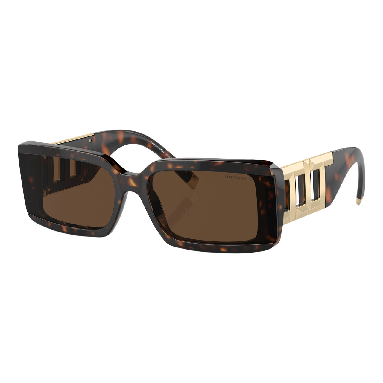 Rectangle Sunglasses TF4197