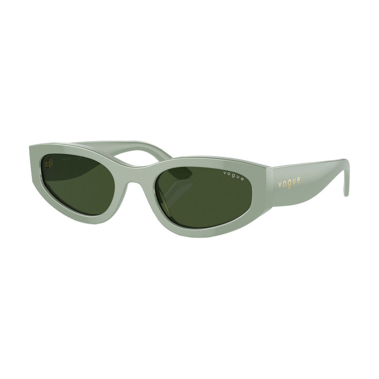 Irregular Sunglasses VO5585S