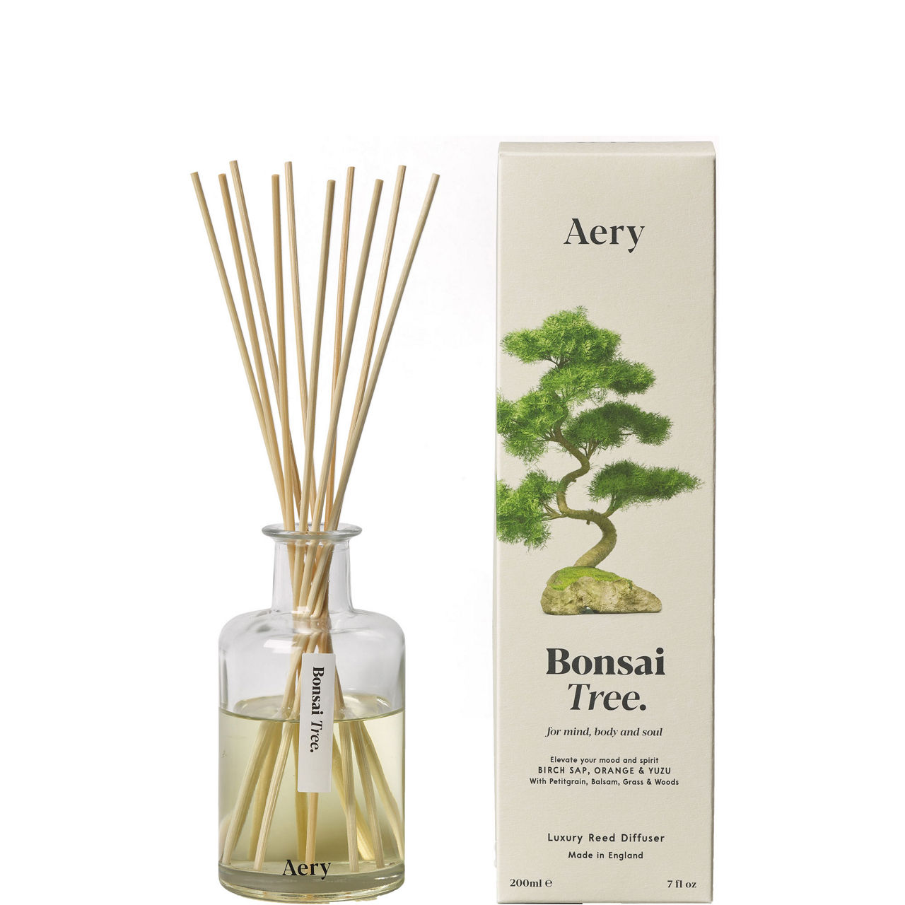Bonsai Tree Reed Diffuser - Birch Sap, Orange & Yuzu