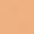 Pro Filt'r Soft Matte Longwear Foundation