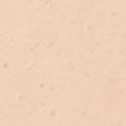 Studio Radiance 24HR Luminous Lift Concealer