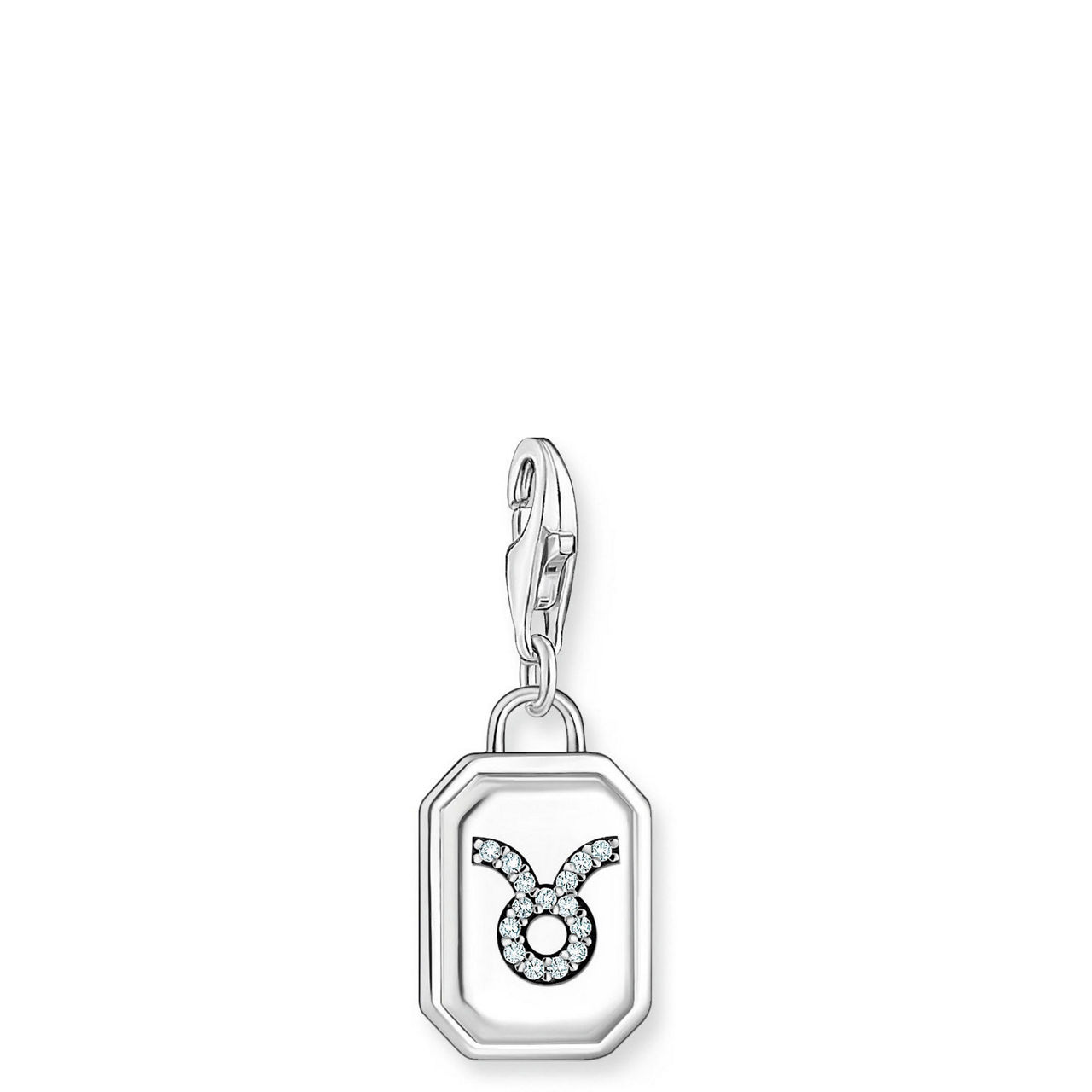 3D Taurus Star Sign Charm