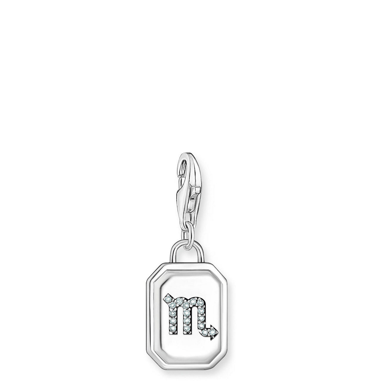 3D Scorpio Star Sign Charm