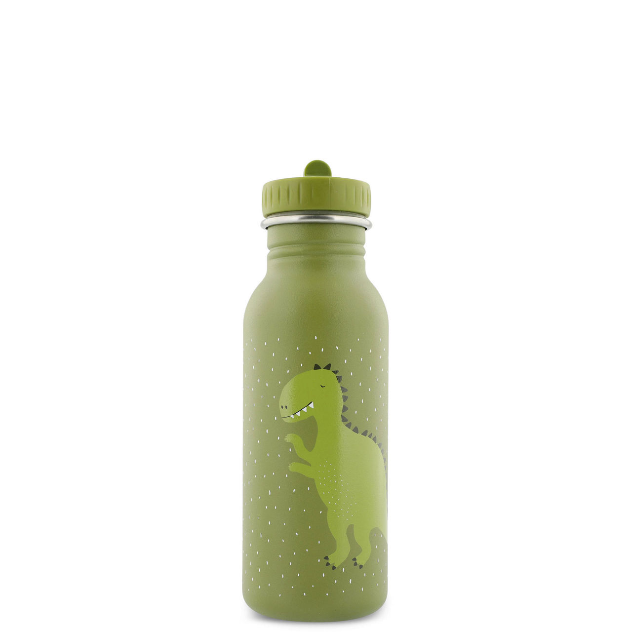 Mr. Dino Water Bottle 500ml