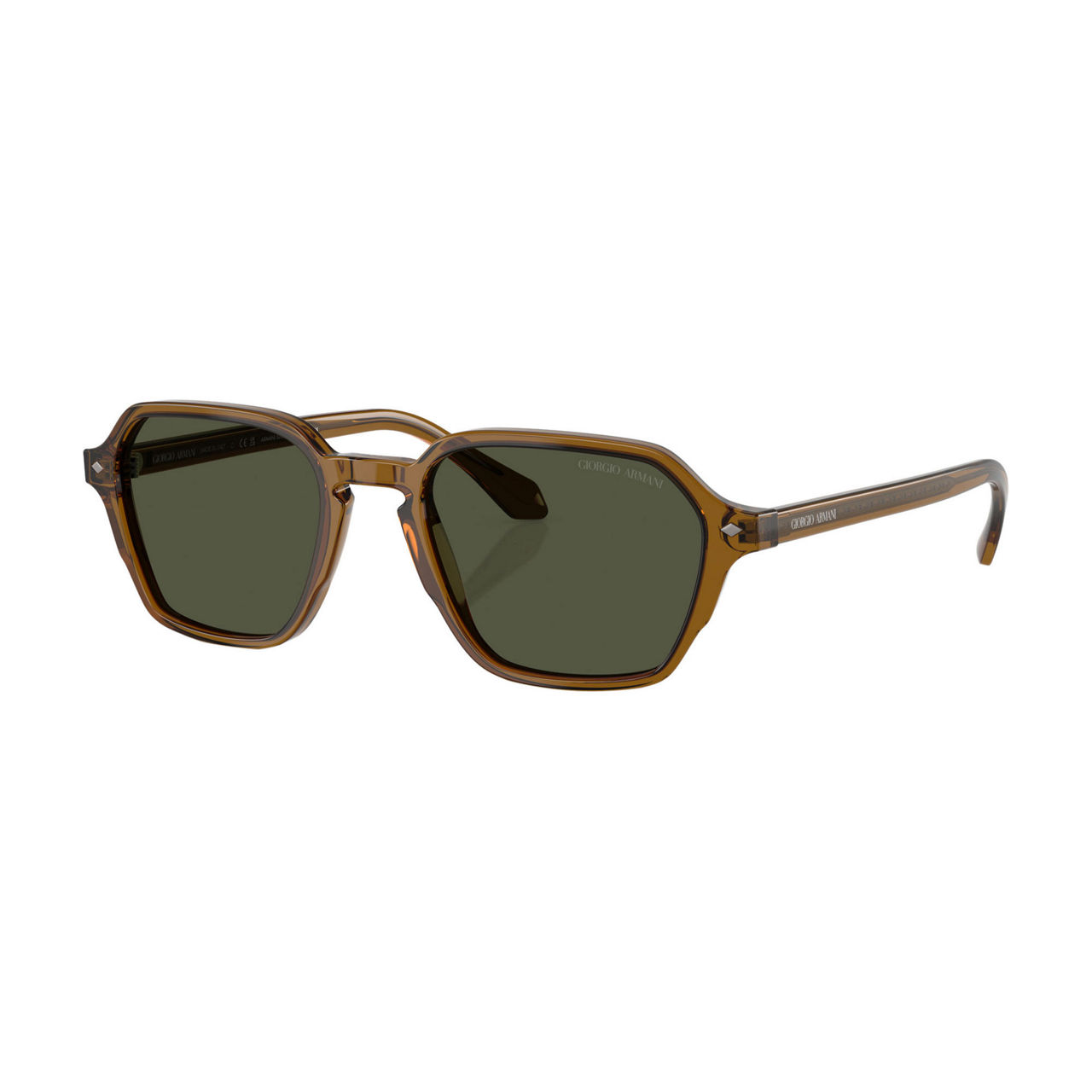 Square Sunglasses AR8220